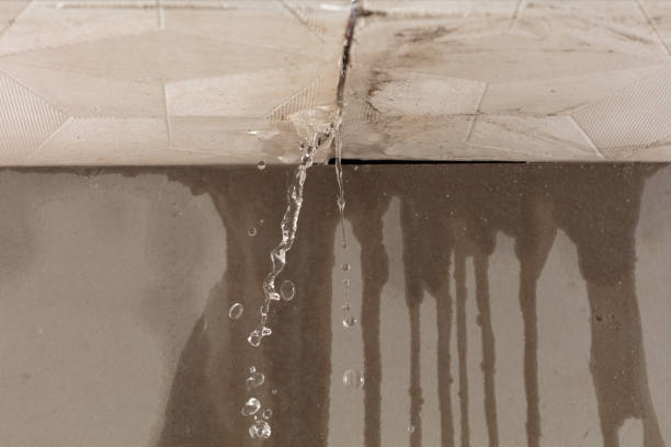 Professional Burst Pipe Cleanup technician working in Forney, TX